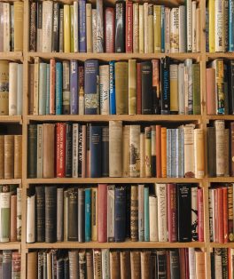 Dia Mundial do Livro - Literatura - dicas literárias durante a quarentena