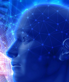 Cartilha de estímulo cognitivo Volume 1
