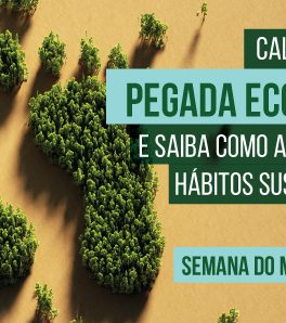 pegada-ecologica-2