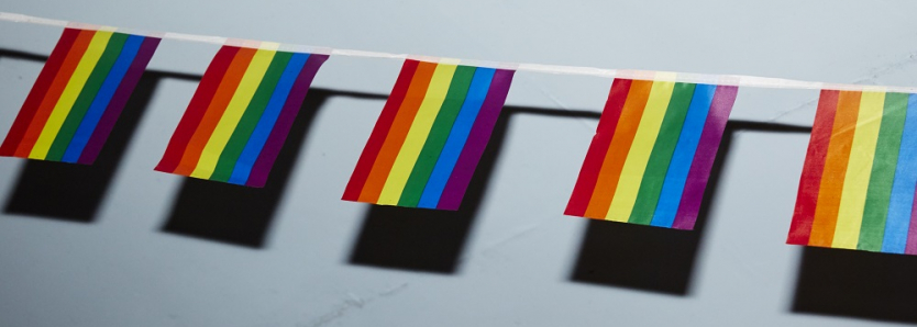 Dia do Orgulho LGBTQI+ Dia Internacional do Orgulho LGBTQIA+ Literatura