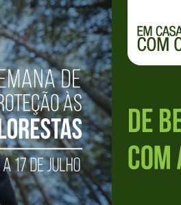 E-book De Bem com a Mata em comemoração ao Dia de Proteção às Florestas, do Sesc RJ
