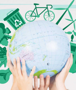 SUSTENTABILIDADE NEWS – QUINTA EDIÇÃO