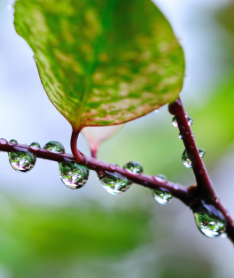 sustentabilidade news ciclo da água