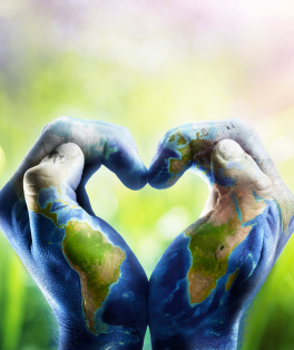 sustentabilidade news terra