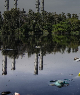 Sustentabilidade News