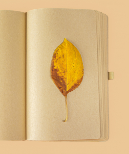 setembro amarelo