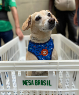 Mesa Brasil Sesc RJ - Suípa