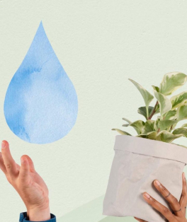 Sustentabilidade News