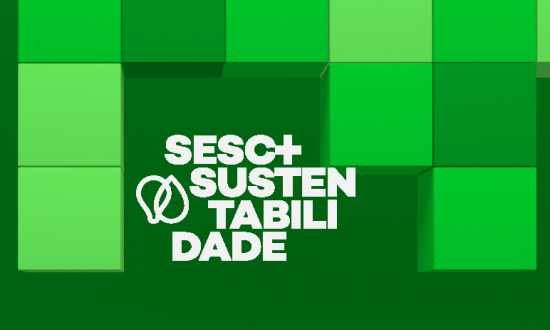 O que o jogo Minecraft e o tema sustentabilidade têm em comum? • Green