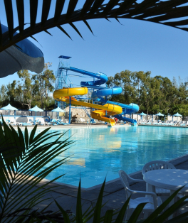 Sesc Grussaí