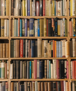 Estante repleta de livros, simbolizando o projeto literário para mulheres no Sesc Niterói, que oferece formação sobre feminismos latino-americanos.