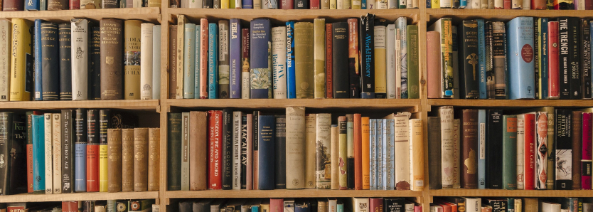 Estante repleta de livros, simbolizando o projeto literário para mulheres no Sesc Niterói, que oferece formação sobre feminismos latino-americanos.